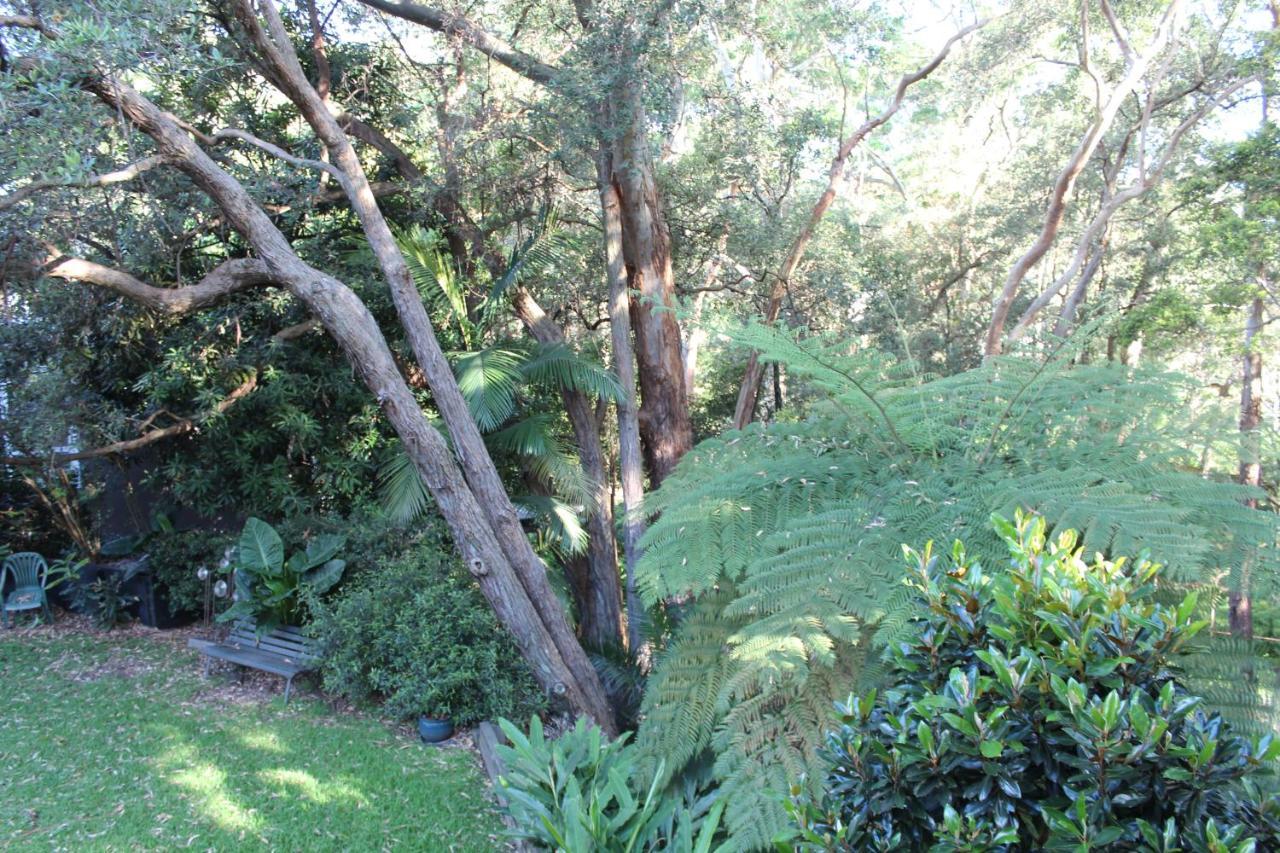 Bushland Setting Close To Sydney Cbd- Stand Alone Apartment Екстер'єр фото